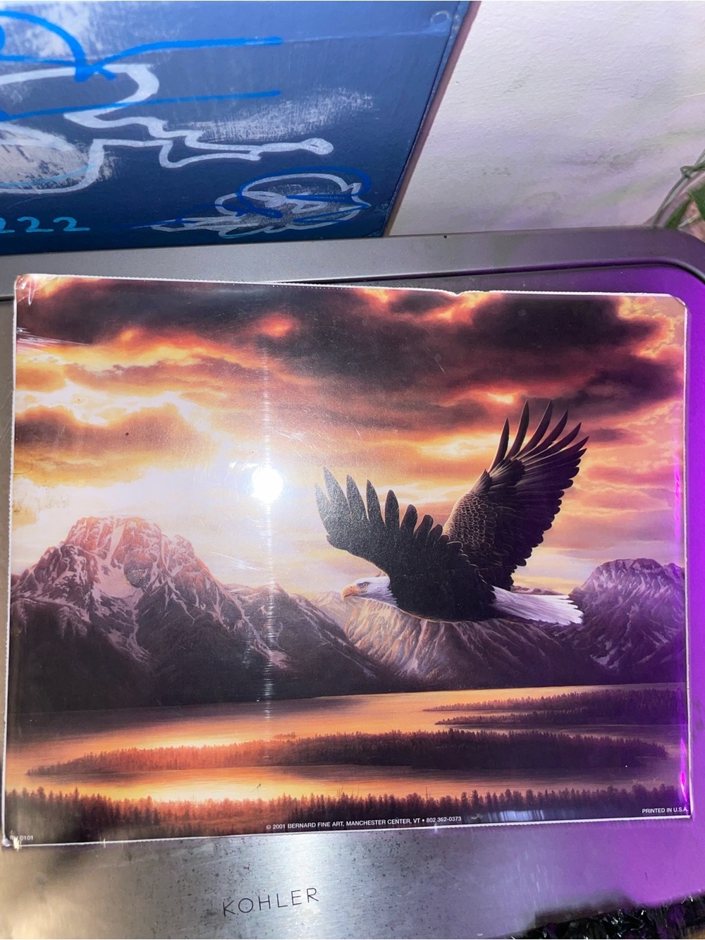Framed Bald Eagle Sunset Wall Art - Gold, Black, Purple